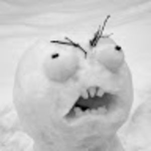 Meet your Posher, Nicholas